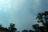 Tenterfield funnel picture