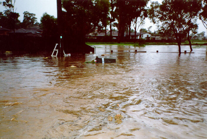 contributions received : Prospect, NSW<BR>Photo by Peter Brien   1 November 1987