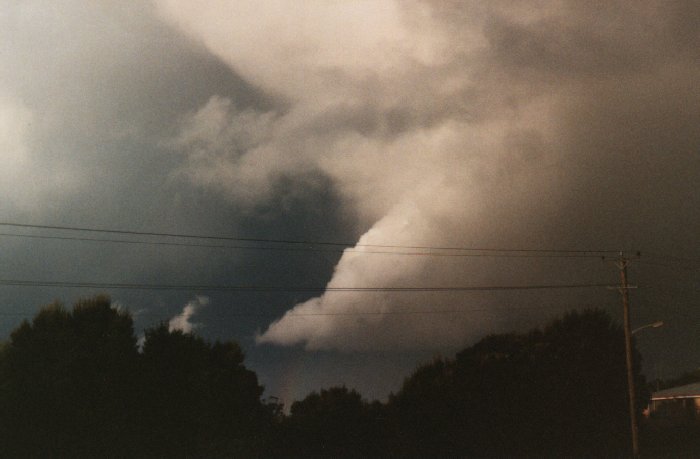 contributions received : Devonport, TAS<BR>Photo by Andrew Boskell   1 June 1989