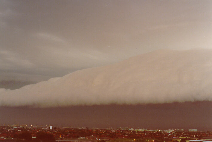 favourites michael_bath : Coogee, NSW   11 December 1989