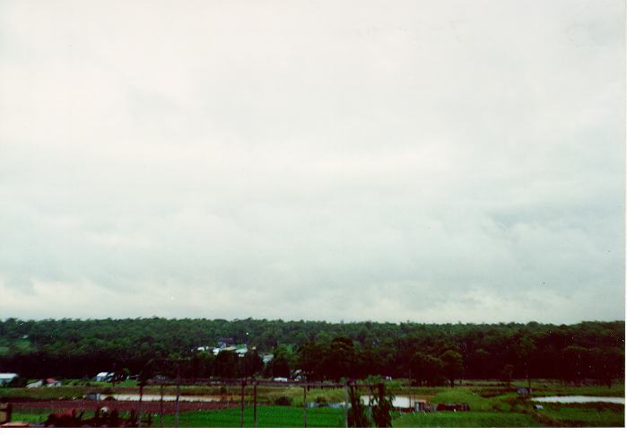 stratus stratus_cloud : Schofields, NSW   7 February 1990