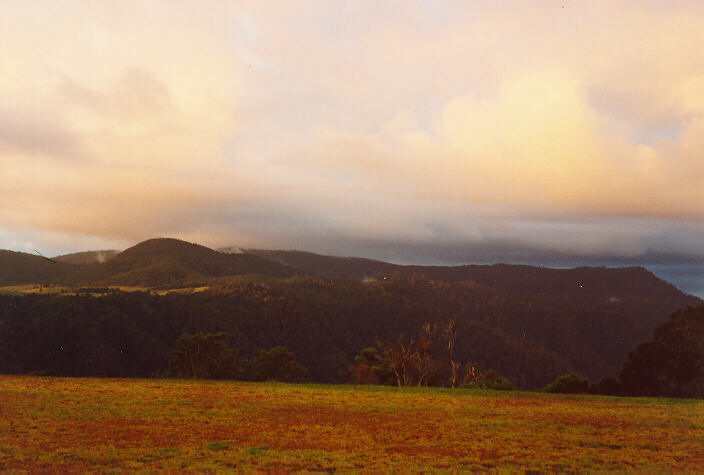 cumulus mediocris : Dorrigo, NSW   9 June 1990