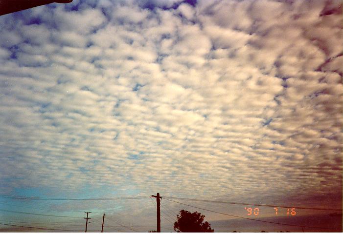 altocumulus mackerel_sky : Schofields, NSW   16 July 1990