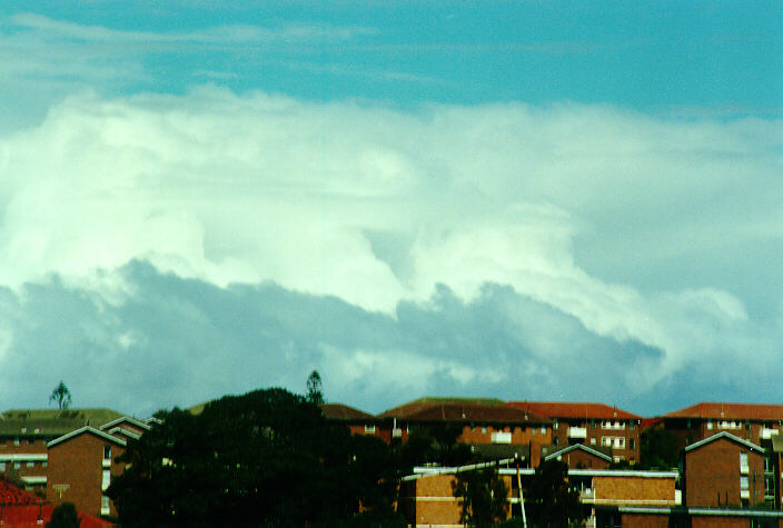 stratocumulus stratocumulus_cloud : Coogee, NSW   29 September 1990