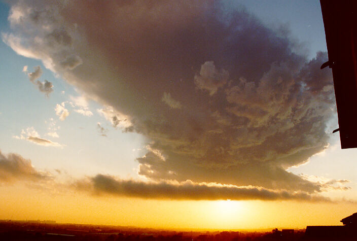 favourites michael_bath : Coogee, NSW   11 October 1990