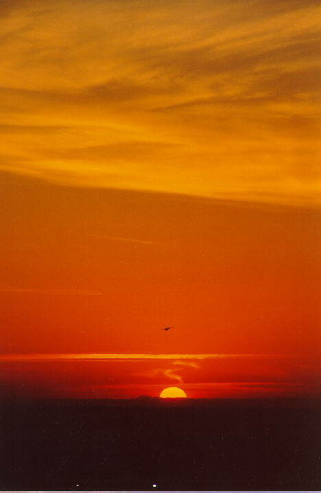 cirrus cirrus_cloud : Coogee, NSW   18 October 1990