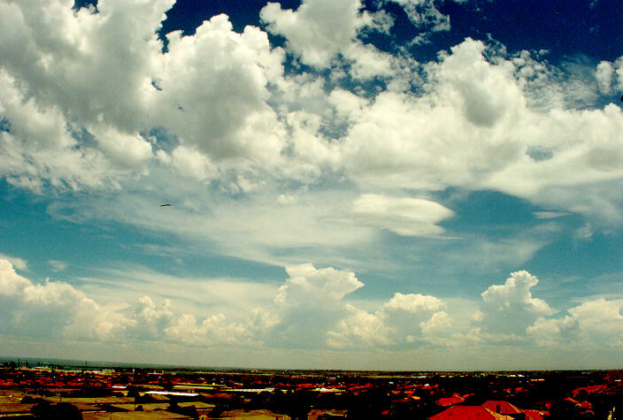 cumulus congestus : Coogee, NSW   20 January 1991