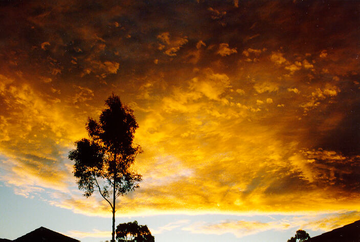 altostratus altostratus_cloud : Oakhurst, NSW   23 June 1991