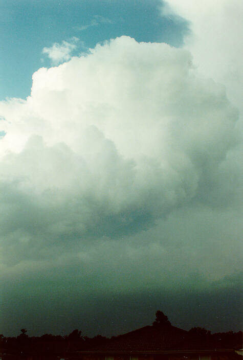 cumulus congestus : Oakhurst, NSW   14 December 1991