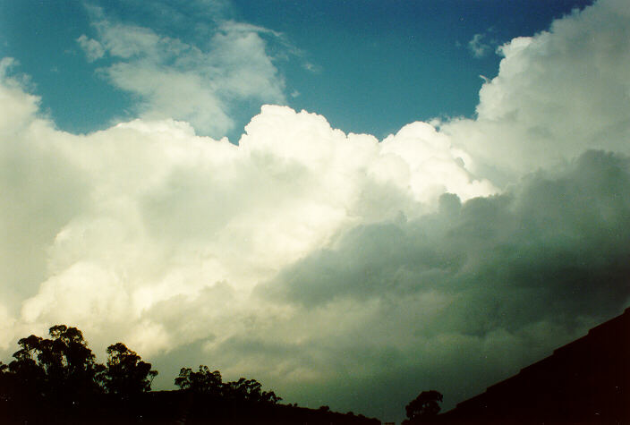 cumulus congestus : Oakhurst, NSW   14 December 1991