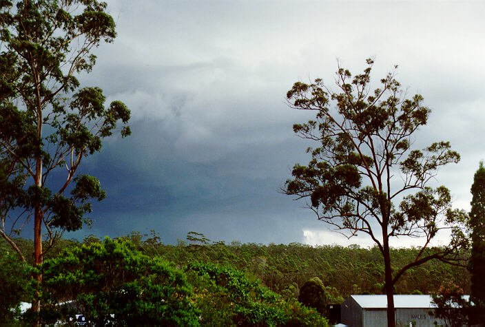 cumulonimbus thunderstorm_base : South Kempsey, NSW   21 December 1991