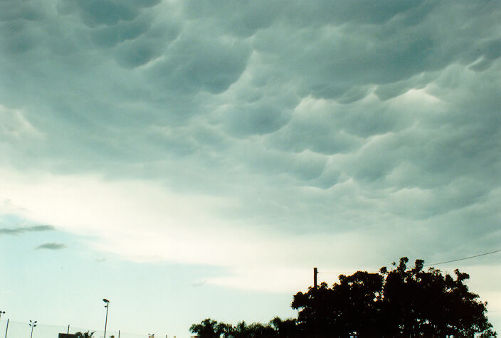 mammatus mammatus_cloud : Ballina, NSW   22 December 1991