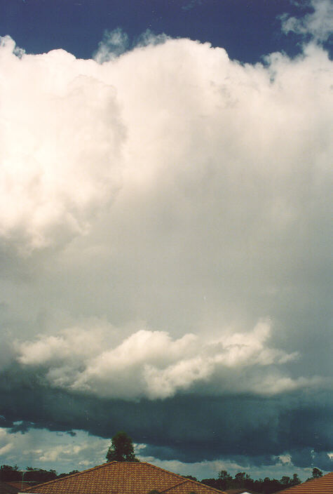 thunderstorm cumulonimbus_calvus : Oakhurst, NSW   18 October 1992