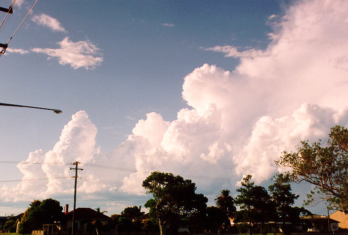 cumulus congestus : Ballina, NSW   28 December 1992