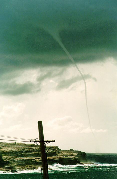 contributions received : Malabar, NSW<BR>Photo by Anna Foley   29 March 1993