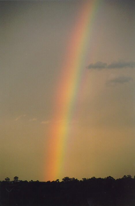 rainbow rainbow_pictures : Schofields, NSW   19 November 1993