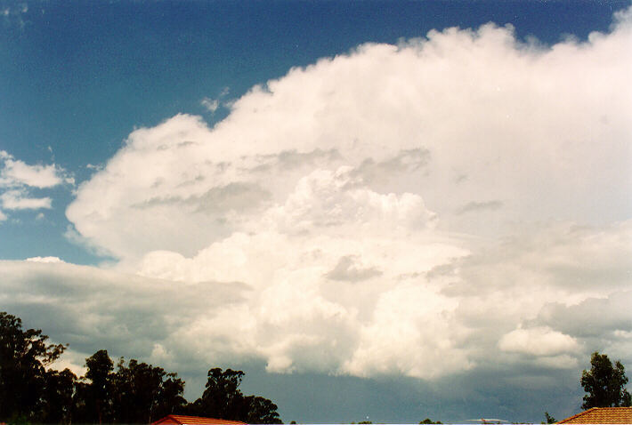 cumulonimbus supercell_thunderstorm : Oakhurst, NSW   4 December 1993