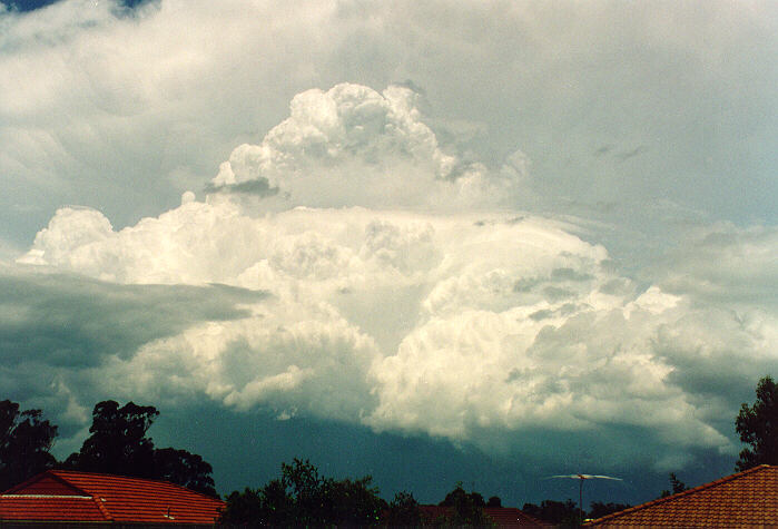 favourites michael_bath : Oakhurst, NSW   4 December 1993