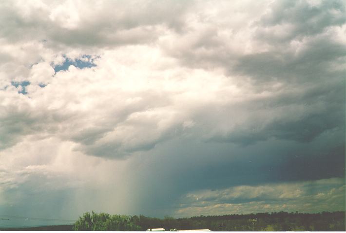 thunderstorm cumulonimbus_calvus : Schofields, NSW   26 December 1993