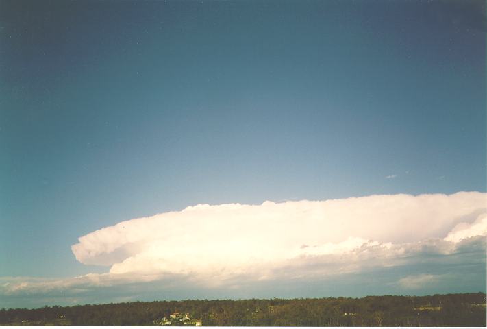 thunderstorm cumulonimbus_incus : Schofields, NSW   26 December 1993