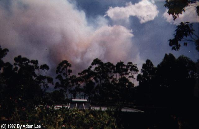 contributions received : Batemans Bay, NSW<BR>Photo by Adam Lee   3 January 1994