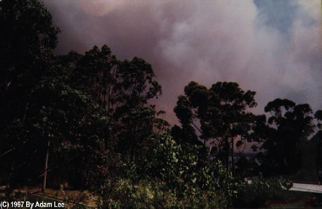 contributions received : Batemans Bay, NSW<BR>Photo by Adam Lee   3 January 1994