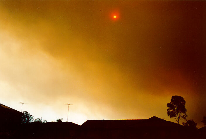 favourites michael_bath : Oakhurst, NSW   8 January 1994