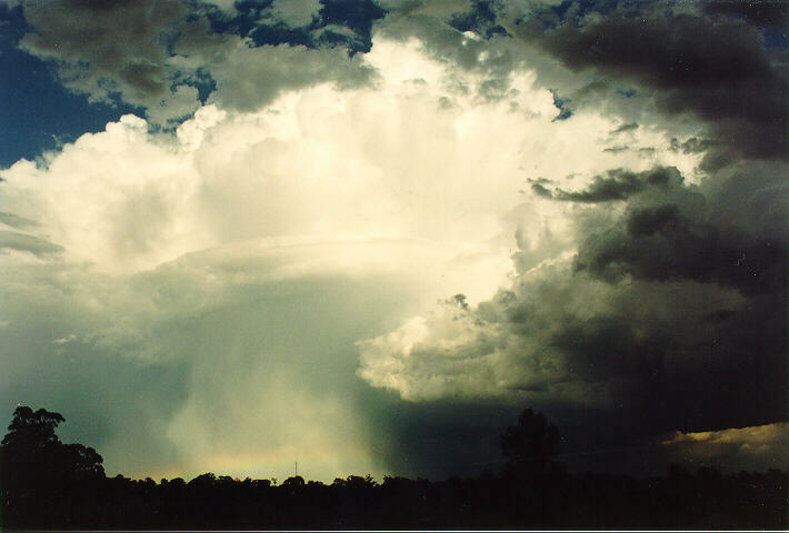 rainbow rainbow_pictures : Oakhurst, NSW   17 January 1994