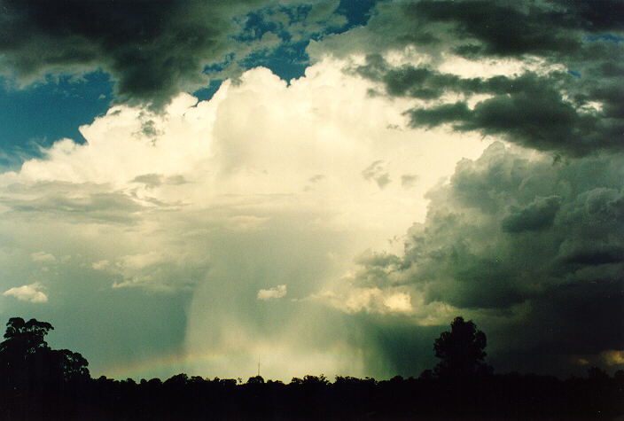 thunderstorm cumulonimbus_incus : Oakhurst, NSW   17 January 1994