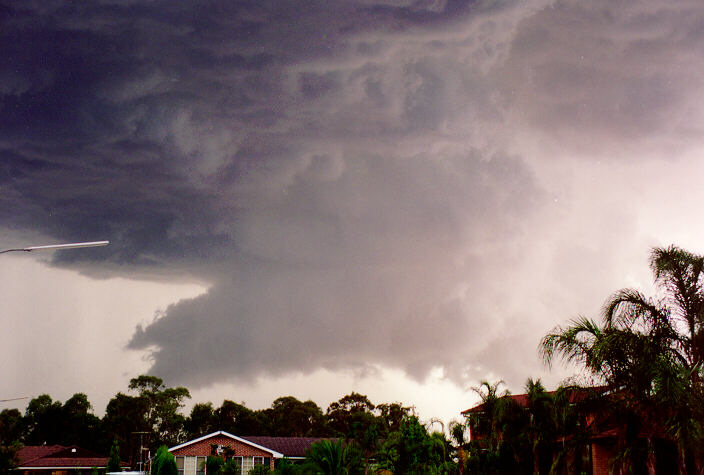 wallcloud thunderstorm_wall_cloud : Oakhurst, NSW   1 February 1994