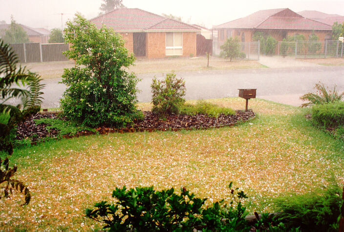 favourites michael_bath : Oakhurst, NSW   1 February 1994