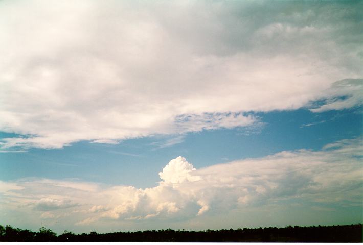 cumulus congestus : Schofields, NSW   6 February 1994