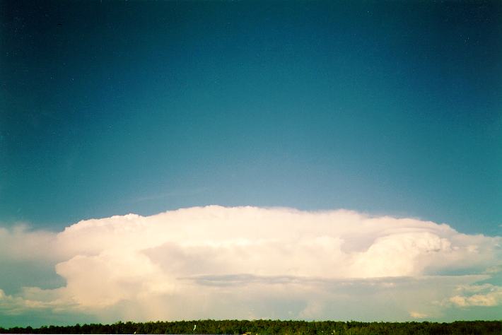 thunderstorm cumulonimbus_incus : Schofields, NSW   16 February 1994