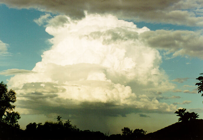 favourites michael_bath : Oakhurst, NSW   1 May 1994