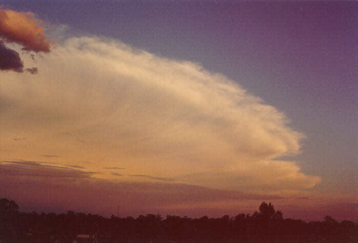 anvil thunderstorm_anvils : Oakhurst, NSW   20 November 1994