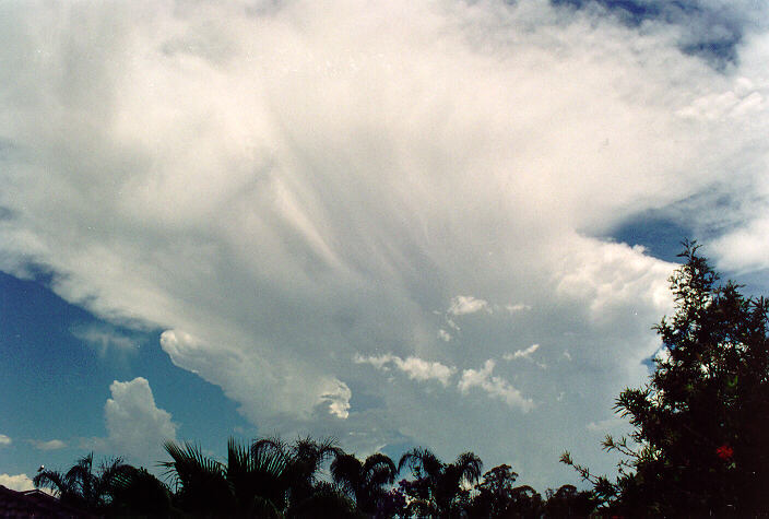 cumulus congestus : Oakhurst, NSW   26 November 1994