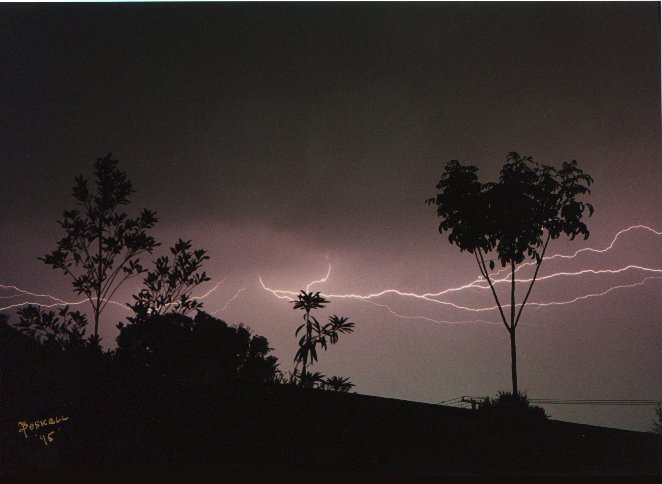 contributions received : Devonport, TAS<BR>Photo by Andrew Boskell   1 January 1995