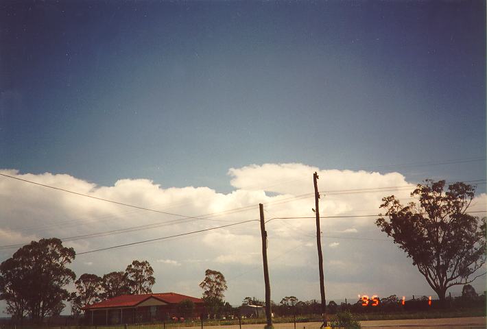 thunderstorm cumulonimbus_calvus : Schofields, NSW   1 January 1995