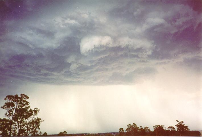 cumulonimbus thunderstorm_base : Schofields, NSW   1 January 1995