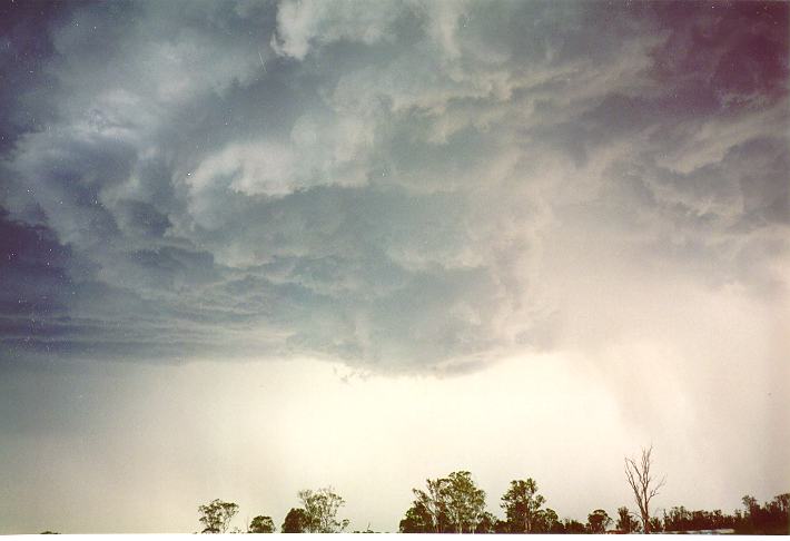 wallcloud thunderstorm_wall_cloud : Schofields, NSW   1 January 1995