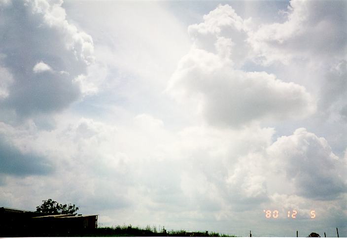 cumulus mediocris : Schofields, NSW   11 January 1995