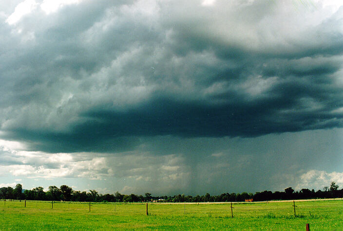 raincascade precipitation_cascade : Richmond, NSW   29 January 1995