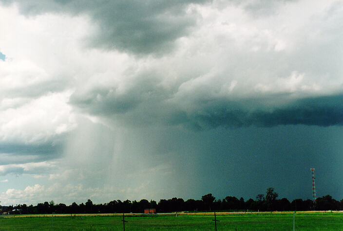 raincascade precipitation_cascade : Richmond, NSW   29 January 1995