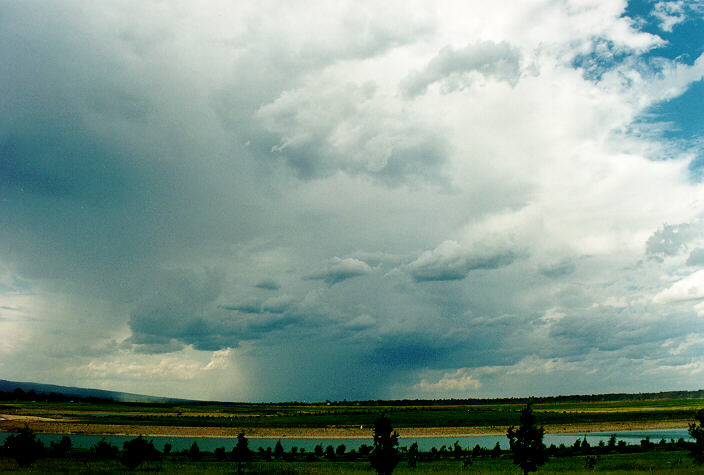 raincascade precipitation_cascade : Castlereagh, NSW   5 February 1995