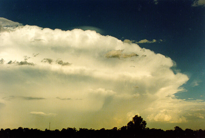 thunderstorm cumulonimbus_incus : Oakhurst, NSW   5 February 1995