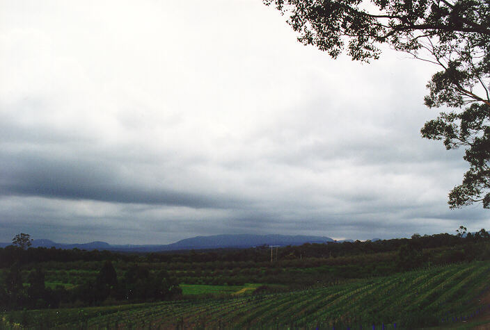 stratocumulus stratocumulus_cloud : Bilpin, NSW   10 February 1995