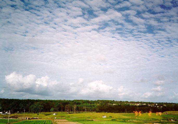 altocumulus mackerel_sky : Schofields, NSW   14 February 1995