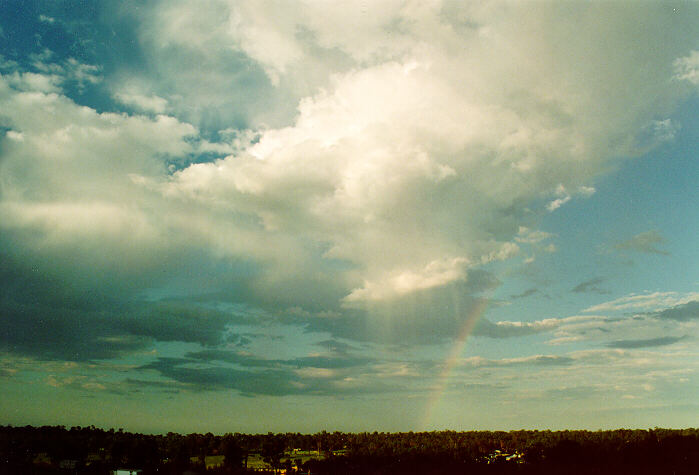 cumulus congestus : Schofields, NSW   22 February 1995