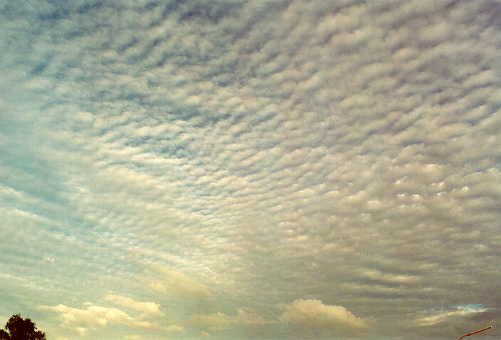 altocumulus undulatus : Oakhurst, NSW   20 May 1995