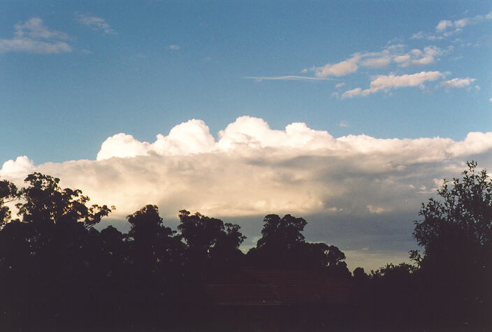 cumulus congestus : Oakhurst, NSW   26 August 1995